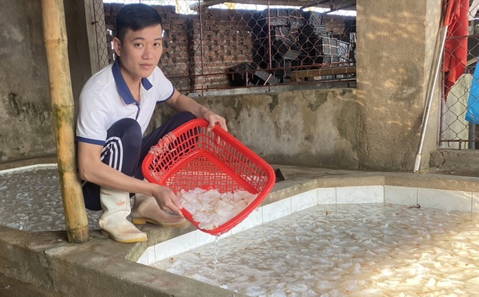 Vớt "vàng trắng" trên biển, ngư dân Thanh Hóa kiếm tiền triệu mỗi ngày- Ảnh 10.