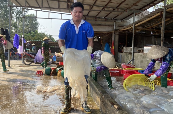 Vớt "vàng trắng" trên biển, ngư dân Thanh Hóa kiếm tiền triệu mỗi ngày- Ảnh 8.