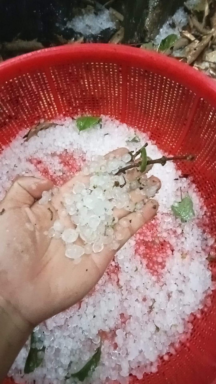 Mưa đá cực lớn tại Quảng Nam- Ảnh 1. Mưa đá cực lớn tại Quảng Nam- Ảnh 1.