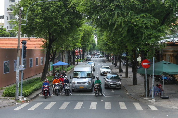 Thực hiện dự án Metro số 2: Tính lại phương án chặt hạ cây xanh- Ảnh 1. Thực hiện dự án Metro số 2: Tính lại phương án chặt hạ cây xanh- Ảnh 1.