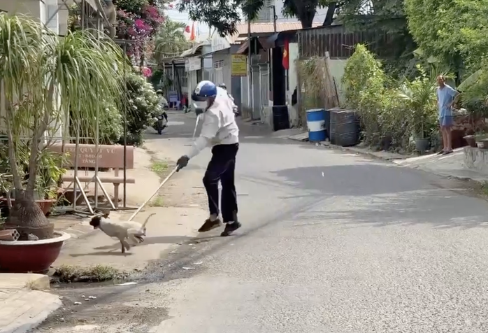 Chó chết sau khi cắn chủ nhà, Đồng Nai ghi nhận ổ dịch dại thứ 8- Ảnh 1.