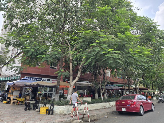TP HCM: Sẽ cưỡng chế tại chung cư Thái An 3 & 4, trả lại khu vực chung cho cư dân- Ảnh 2.