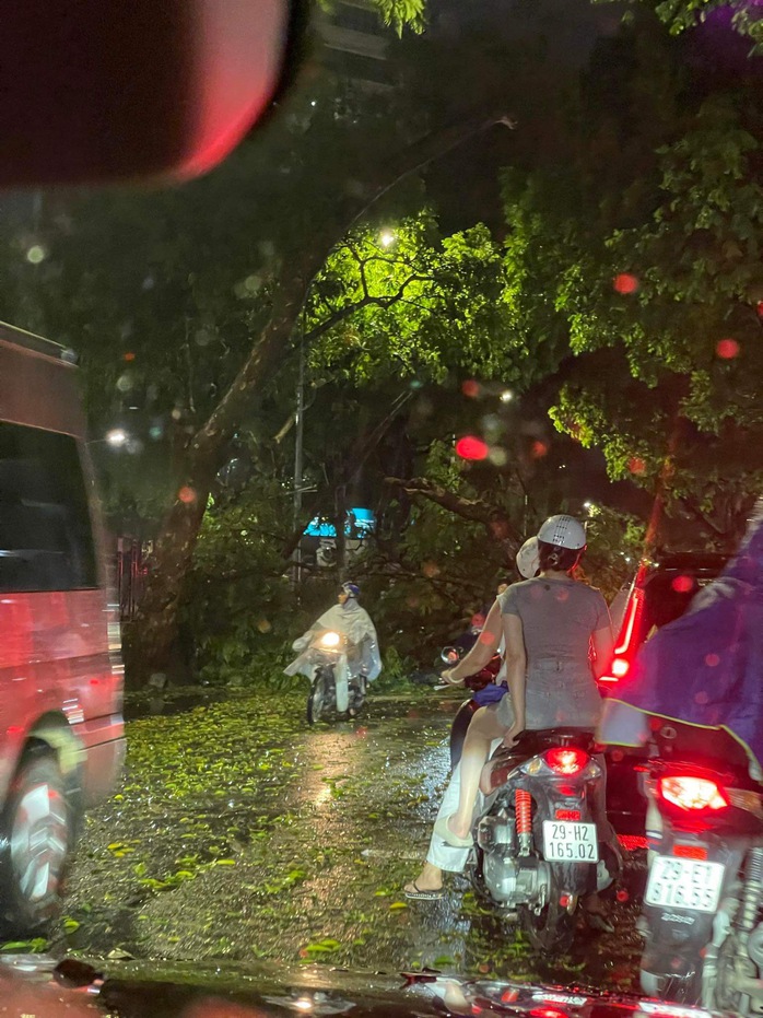 Hà Nội xuất hiện mưa đá, cây gãy đổ khắp nơi- Ảnh 4. Hà Nội xuất hiện mưa đá, cây gãy đổ khắp nơi- Ảnh 4.