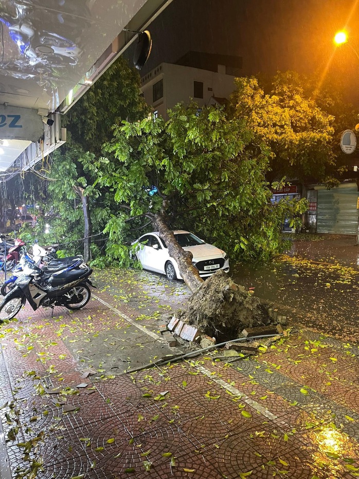 Hà Nội xuất hiện mưa đá, cây gãy đổ khắp nơi- Ảnh 6. Hà Nội xuất hiện mưa đá, cây gãy đổ khắp nơi- Ảnh 6.