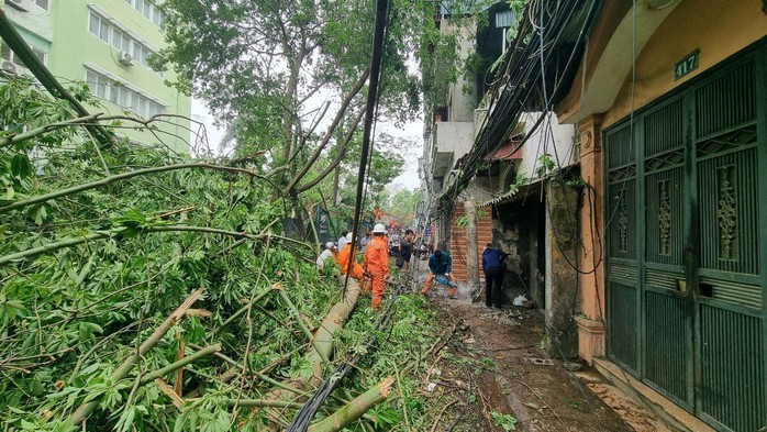 Một cây xanh trên phố Vũ Hữu, quận Thanh Xuân, TP Hà Nội ngã đổ do mưa giông tối 20-4 Ảnh: TTXVN Một cây xanh trên phố Vũ Hữu, quận Thanh Xuân, TP Hà Nội ngã đổ do mưa giông tối 20-4 Ảnh: TTXVN