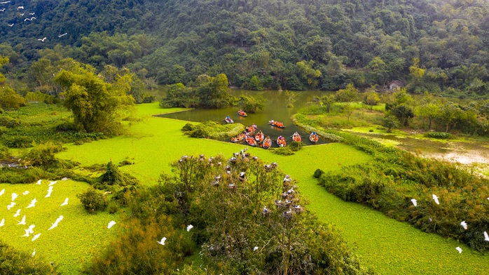 Chim hoang dã bay rợp trời trong khu du lịch- Ảnh 1. Chim hoang dã bay rợp trời trong khu du lịch- Ảnh 1.