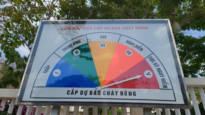 Bà Rịa - Vũng Tàu: Nguy cơ cháy rừng đang ở cấp cao nhất- Ảnh 2.