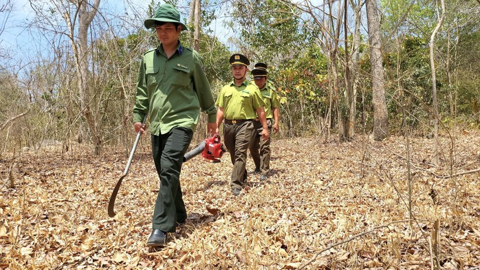 Bà Rịa - Vũng Tàu: Nguy cơ cháy rừng đang ở cấp cao nhất- Ảnh 5.
