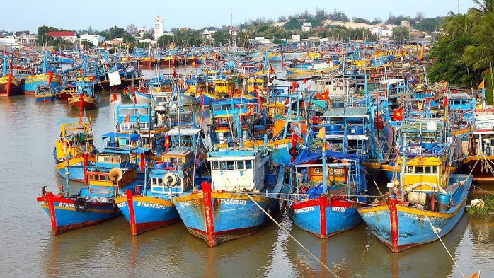 EC chưa chốt ngày đến Việt Nam thanh tra, xem xét gỡ "thẻ vàng" IUU- Ảnh 1. EC chưa chốt ngày đến Việt Nam thanh tra, xem xét gỡ "thẻ vàng" IUU- Ảnh 1.