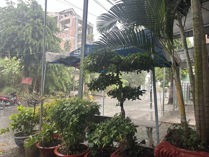 CLIP: Người dân Cần Thơ vui sướng khi đón cơn mưa CLIP: Người dân Cần Thơ vui sướng khi đón cơn mưa