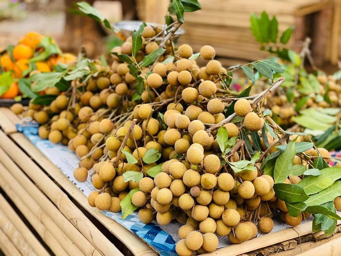 Đến Đăk Hà mua nông sản sạch- Ảnh 4. Đến Đăk Hà mua nông sản sạch- Ảnh 4.