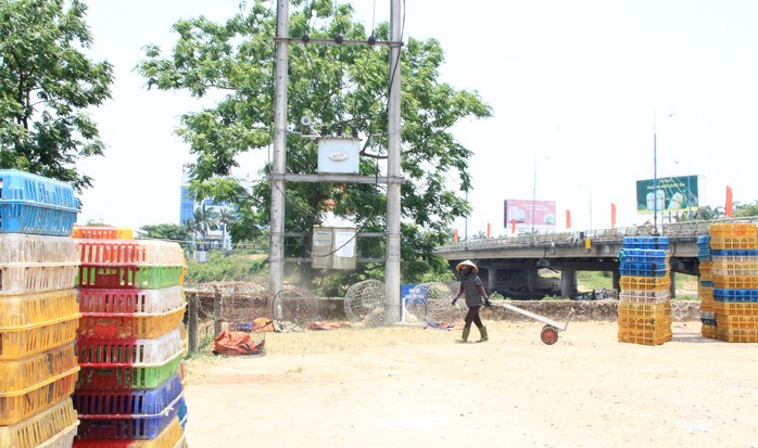 Người dân khốn khổ dưới cái nắng kỷ lục 44 độ C ở Quảng Trị- Ảnh 2. Người dân khốn khổ dưới cái nắng kỷ lục 44 độ C ở Quảng Trị- Ảnh 2.