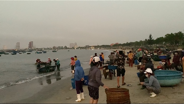 Khu chợ ven biển Đà Nẵng, chỉ bán độc nhất một loại hải sản- Ảnh 1. Khu chợ ven biển Đà Nẵng, chỉ bán độc nhất một loại hải sản- Ảnh 1.