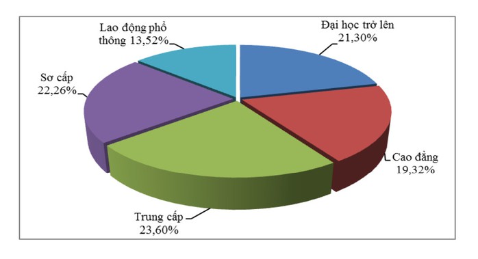 Lao động có trình độ mất việc chiếm tỉ lệ khá cao- Ảnh 5. Lao động có trình độ mất việc chiếm tỉ lệ khá cao- Ảnh 5.
