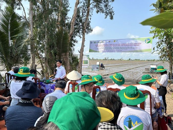 "Lúa xanh", gạo ngon, nông dân lợi kép- Ảnh 1. "Lúa xanh", gạo ngon, nông dân lợi kép- Ảnh 1.