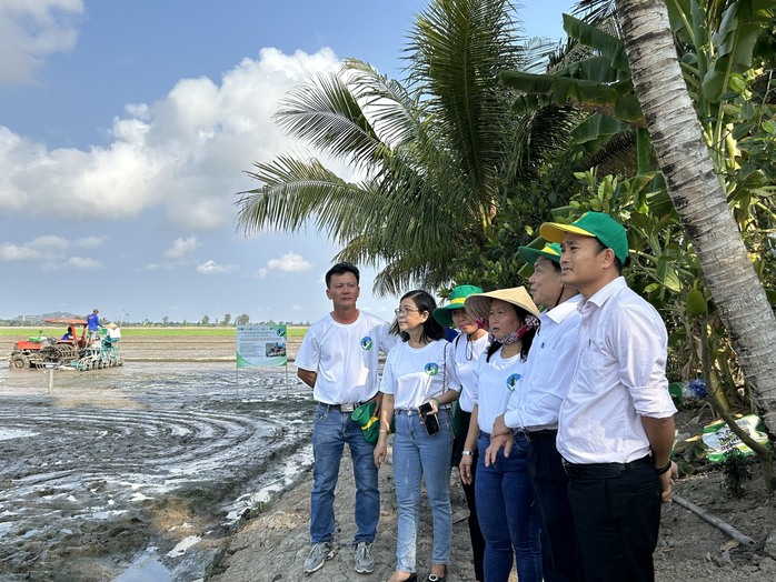 "Lúa xanh", gạo ngon, nông dân lợi kép- Ảnh 2. "Lúa xanh", gạo ngon, nông dân lợi kép- Ảnh 2.