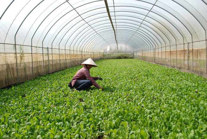 NÂNG BƯỚC NGƯỜI LAO ĐỘNG: Giấc mơ thành hiện thực- Ảnh 1. NÂNG BƯỚC NGƯỜI LAO ĐỘNG: Giấc mơ thành hiện thực- Ảnh 1.