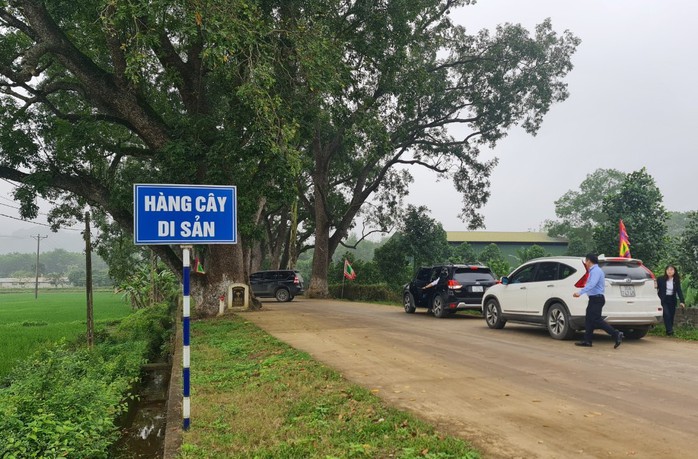 Ngắm hàng cây di sản hơn 100 năm tuổi dưới chân núi thiêng- Ảnh 10. Ngắm hàng cây di sản hơn 100 năm tuổi dưới chân núi thiêng- Ảnh 10.