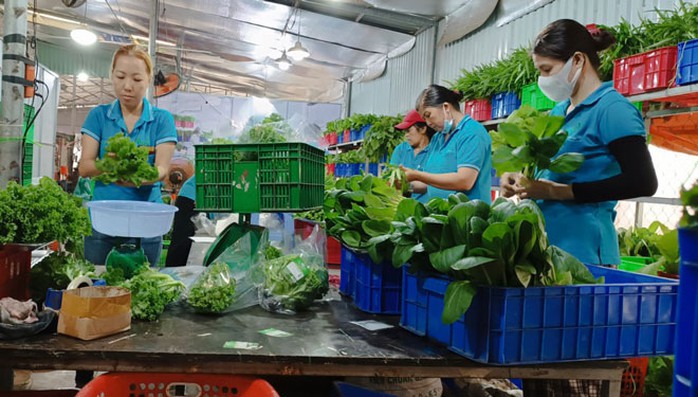 HTX Nông nghiệp Tuấn Ngọc (TP Thủ Đức) hoạt động hiệu quả tại TP HCM HTX Nông nghiệp Tuấn Ngọc (TP Thủ Đức) hoạt động hiệu quả tại TP HCM