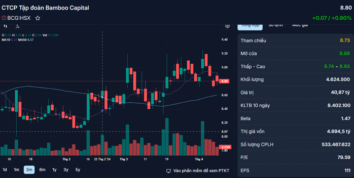 Tổng giám đốc mới của Bamboo Capital là ai?- Ảnh 1. Tổng giám đốc mới của Bamboo Capital là ai?- Ảnh 1.