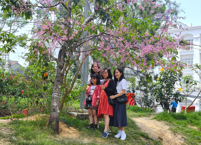 Quảng trường Lâm Viên Đà Lạt vẫn nhộn nhịp du khách- Ảnh 4.