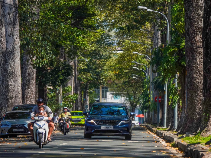 Bảo vệ cây xanh ngay từ khâu quản lý- Ảnh 1. Bảo vệ cây xanh ngay từ khâu quản lý- Ảnh 1.