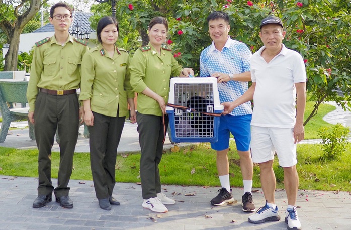 Vượn đen má hung quý hiếm đi lạc vào vườn nhà dân- Ảnh 2. Vượn đen má hung quý hiếm đi lạc vào vườn nhà dân- Ảnh 2.