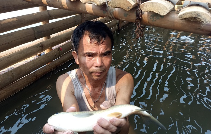 Nước sông Mã đen ngòm bất thường ở khu vực cá chết hàng loạt- Ảnh 6. Nước sông Mã đen ngòm bất thường ở khu vực cá chết hàng loạt- Ảnh 6.