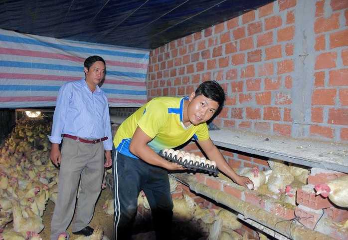 Anh Trần Văn Mười thu trứng gà trong phòng lạnh Anh Trần Văn Mười thu trứng gà trong phòng lạnh