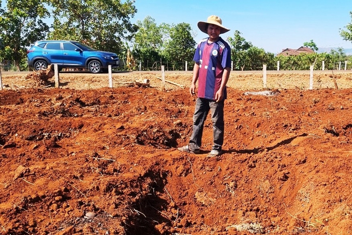 Đua nhau xuống giống theo giá cà phê tăng vọt- Ảnh 1. Đua nhau xuống giống theo giá cà phê tăng vọt- Ảnh 1.