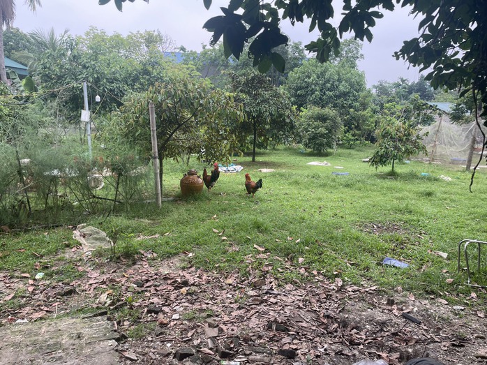 11 anh em ruột kiện nhau vì hơn 1.200 m2 đất- Ảnh 1. 11 anh em ruột kiện nhau vì hơn 1.200 m2 đất- Ảnh 1.