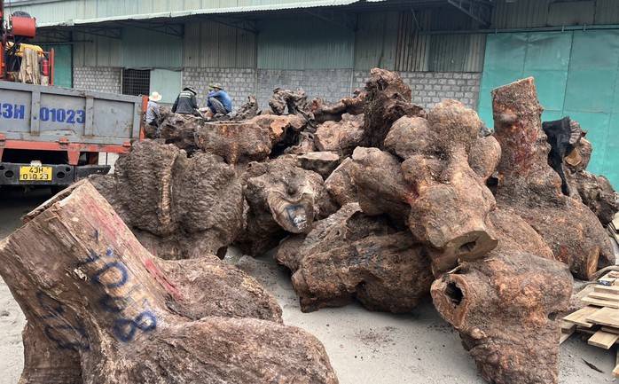 Quảng Nam: Phát hiện 5 xe đầu kéo vận chuyển gỗ trái phép - Ảnh 2. Quảng Nam: Phát hiện 5 xe đầu kéo vận chuyển gỗ trái phép - Ảnh 2.