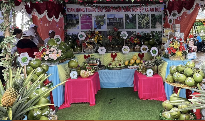 Tưng bừng Ngày hội nông sản tại “thủ phủ” cây ăn quả của Bình Định- Ảnh 1. Tưng bừng Ngày hội nông sản tại “thủ phủ” cây ăn quả của Bình Định- Ảnh 1.