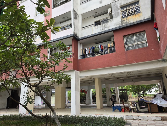 TP HCM: Cưỡng chế sai phạm tại Chung cư Thái An 3 & 4- Ảnh 4. TP HCM: Cưỡng chế sai phạm tại Chung cư Thái An 3 & 4- Ảnh 4.