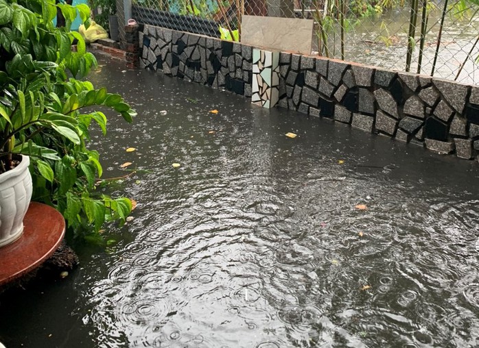 Đà Nẵng: Mưa lớn, nước cống và bùn đen chảy ngược vào nhà dân- Ảnh 3. Đà Nẵng: Mưa lớn, nước cống và bùn đen chảy ngược vào nhà dân- Ảnh 3.