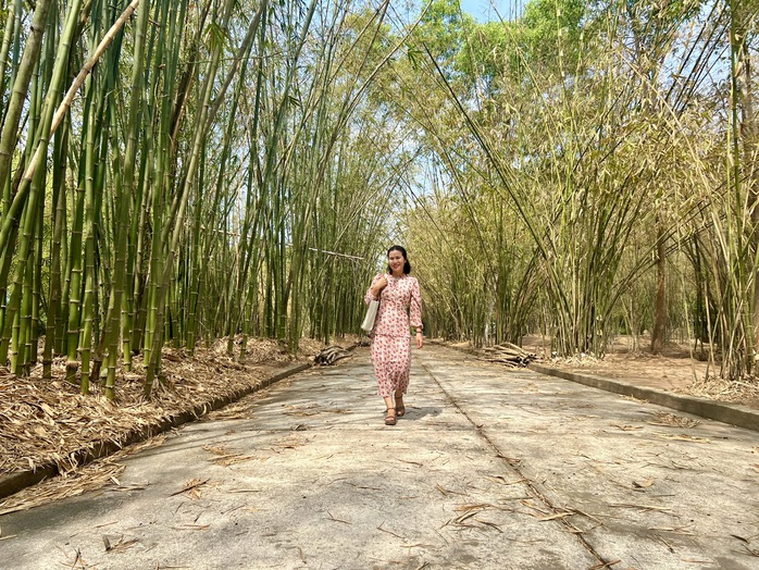 Khu bảo tồn tre độc đáo, hiếm thấy- Ảnh 1. Khu bảo tồn tre độc đáo, hiếm thấy- Ảnh 1.