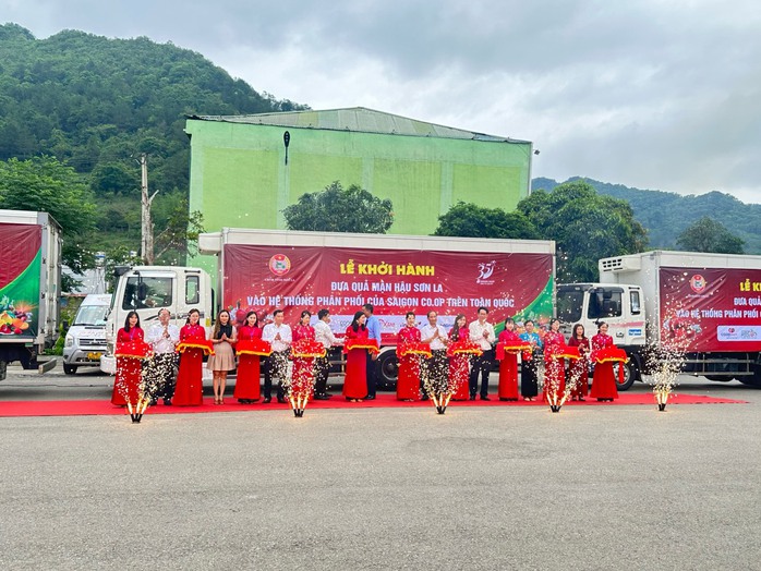 Khoảng 1.000 tấn mận hậu Sơn La chuẩn VietGAP bán giá ưu đãi trong siêu thị Saigon Co.op
- Ảnh 1. Khoảng 1.000 tấn mận hậu Sơn La chuẩn VietGAP bán giá ưu đãi trong siêu thị Saigon Co.op
- Ảnh 1.