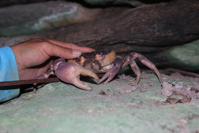 Cua đ&aacute; C&ugrave; lao Ch&agrave;m đang trong t&igrave;nh trạng bị khai th&aacute;c đến suy kiệt