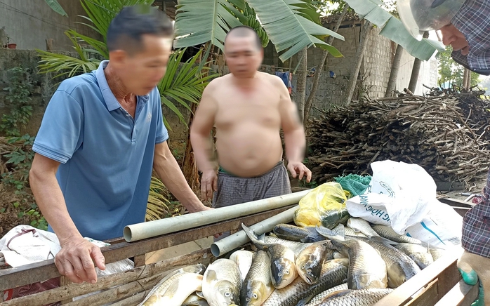 Hàng chục tấn cá lồng chết bất thường trên sông- Ảnh 1. Hàng chục tấn cá lồng chết bất thường trên sông- Ảnh 1.