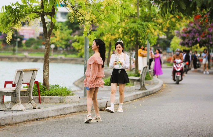 Con đường hoa đẹp như Hàn Quốc giữa TP Thanh Hóa- Ảnh 4. Con đường hoa đẹp như Hàn Quốc giữa TP Thanh Hóa- Ảnh 4.