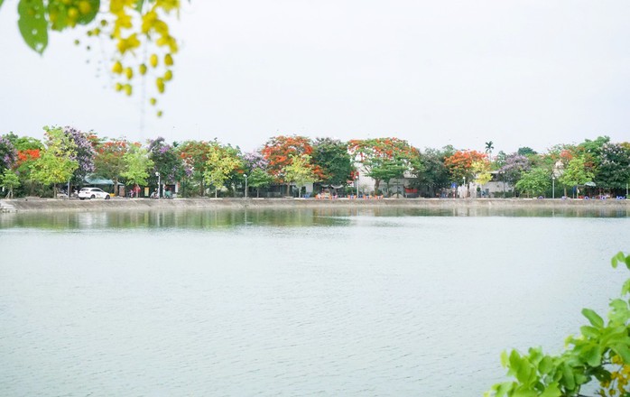 Con đường hoa đẹp như Hàn Quốc giữa TP Thanh Hóa- Ảnh 11. Con đường hoa đẹp như Hàn Quốc giữa TP Thanh Hóa- Ảnh 11.