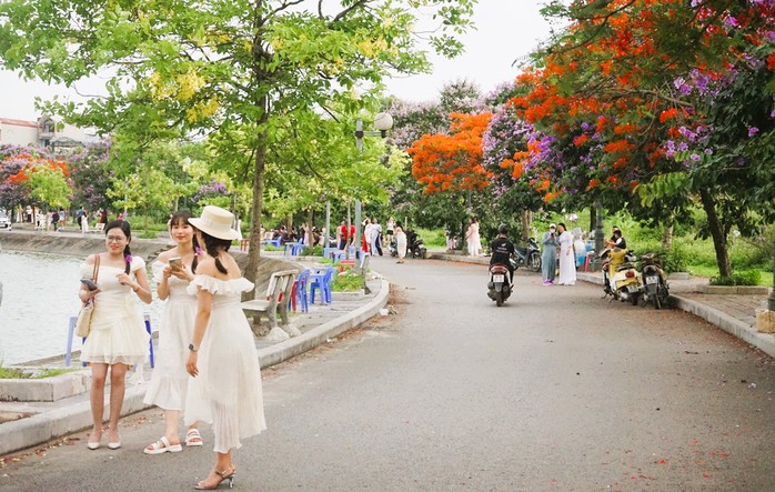 Con đường hoa đẹp như Hàn Quốc giữa TP Thanh Hóa- Ảnh 6. Con đường hoa đẹp như Hàn Quốc giữa TP Thanh Hóa- Ảnh 6.