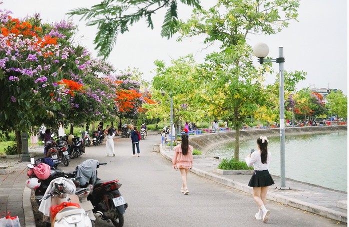 Con đường hoa đẹp như Hàn Quốc giữa TP Thanh Hóa- Ảnh 12. Con đường hoa đẹp như Hàn Quốc giữa TP Thanh Hóa- Ảnh 12.
