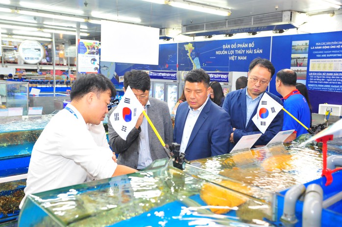 Hàu, bào ngư Hàn Quốc... giảm giá mạnh tại siêu thị- Ảnh 2. Hàu, bào ngư Hàn Quốc... giảm giá mạnh tại siêu thị- Ảnh 2.