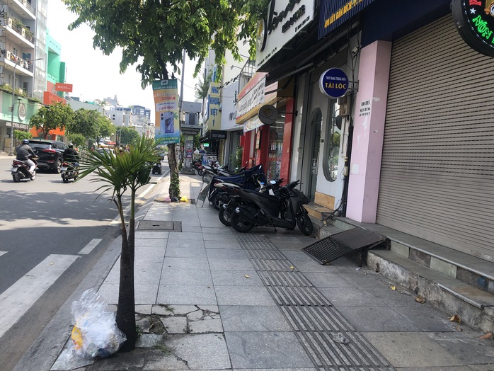 Phát hiện cây mọc “hoang” trên vỉa hè Lũy Bán Bích, quận Tân Phú- Ảnh 1. Phát hiện cây mọc “hoang” trên vỉa hè Lũy Bán Bích, quận Tân Phú- Ảnh 1.