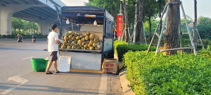 Bất ngờ với giá sầu riêng giảm sốc ở Hà Nội 70 ngàn/kg- Ảnh 4. Bất ngờ với giá sầu riêng giảm sốc ở Hà Nội 70 ngàn/kg- Ảnh 4.