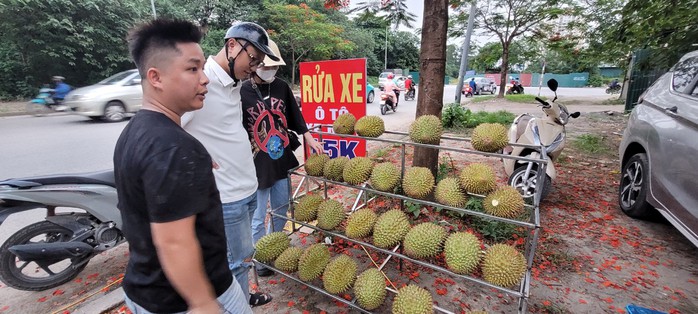 Bất ngờ với giá sầu riêng giảm sốc ở Hà Nội 70 ngàn/kg- Ảnh 3. Bất ngờ với giá sầu riêng giảm sốc ở Hà Nội 70 ngàn/kg- Ảnh 3.