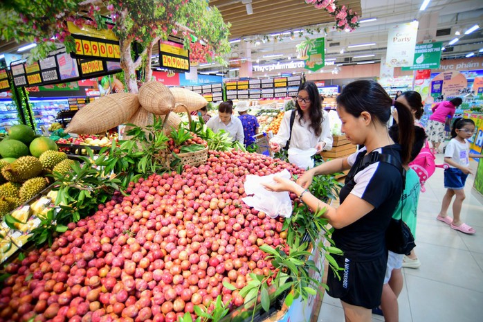 Hình ảnh mận hậu, vải thiều giá rẻ tràn ngập các siêu thị - Ảnh 3. Hình ảnh mận hậu, vải thiều giá rẻ tràn ngập các siêu thị - Ảnh 3.