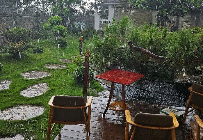 Cơn mưa lớn giải nhiệt cho người dân Tây Nguyên- Ảnh 3.