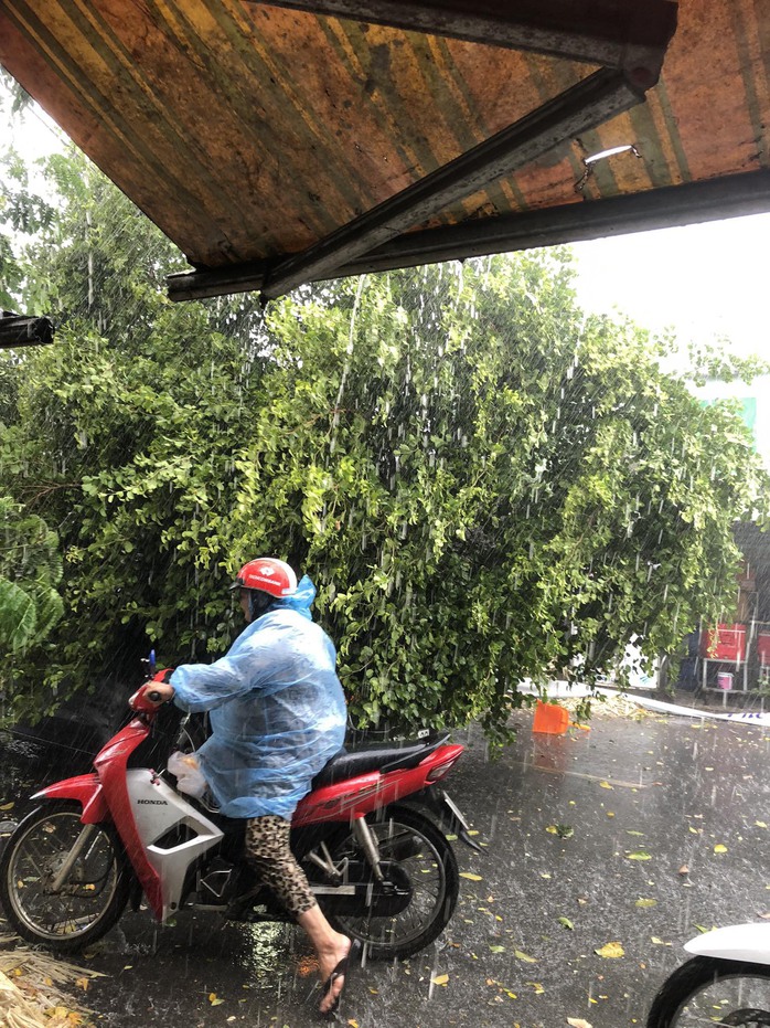 TP HCM: Hình ảnh người dân đón "mưa vàng" chiều 3-5- Ảnh 6. TP HCM: Hình ảnh người dân đón "mưa vàng" chiều 3-5- Ảnh 6.